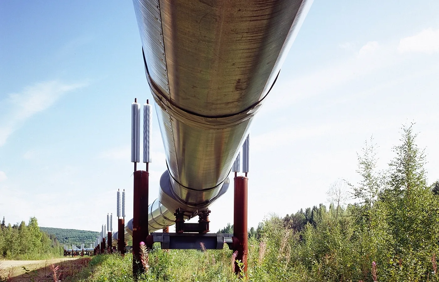 Renewable Gas Claims Need Feedstock Limits