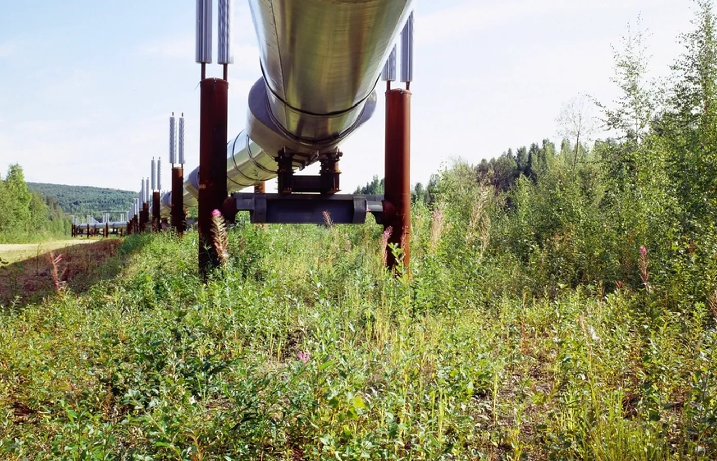LNG Contracts Need Flexibility Clauses