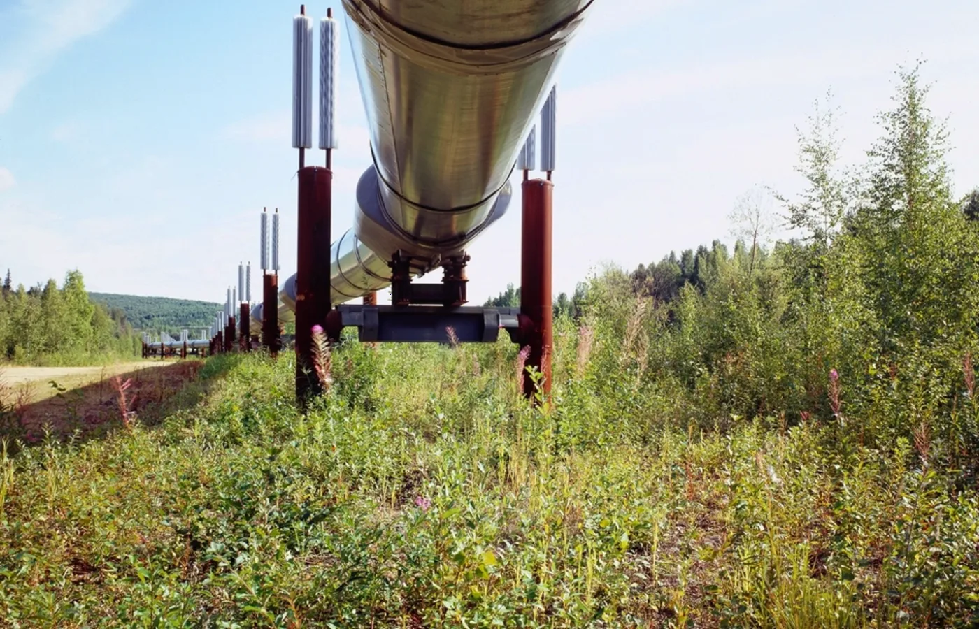 Natural Gas in the Energy Transition: Bridge Fuel or Long-Term Risk?