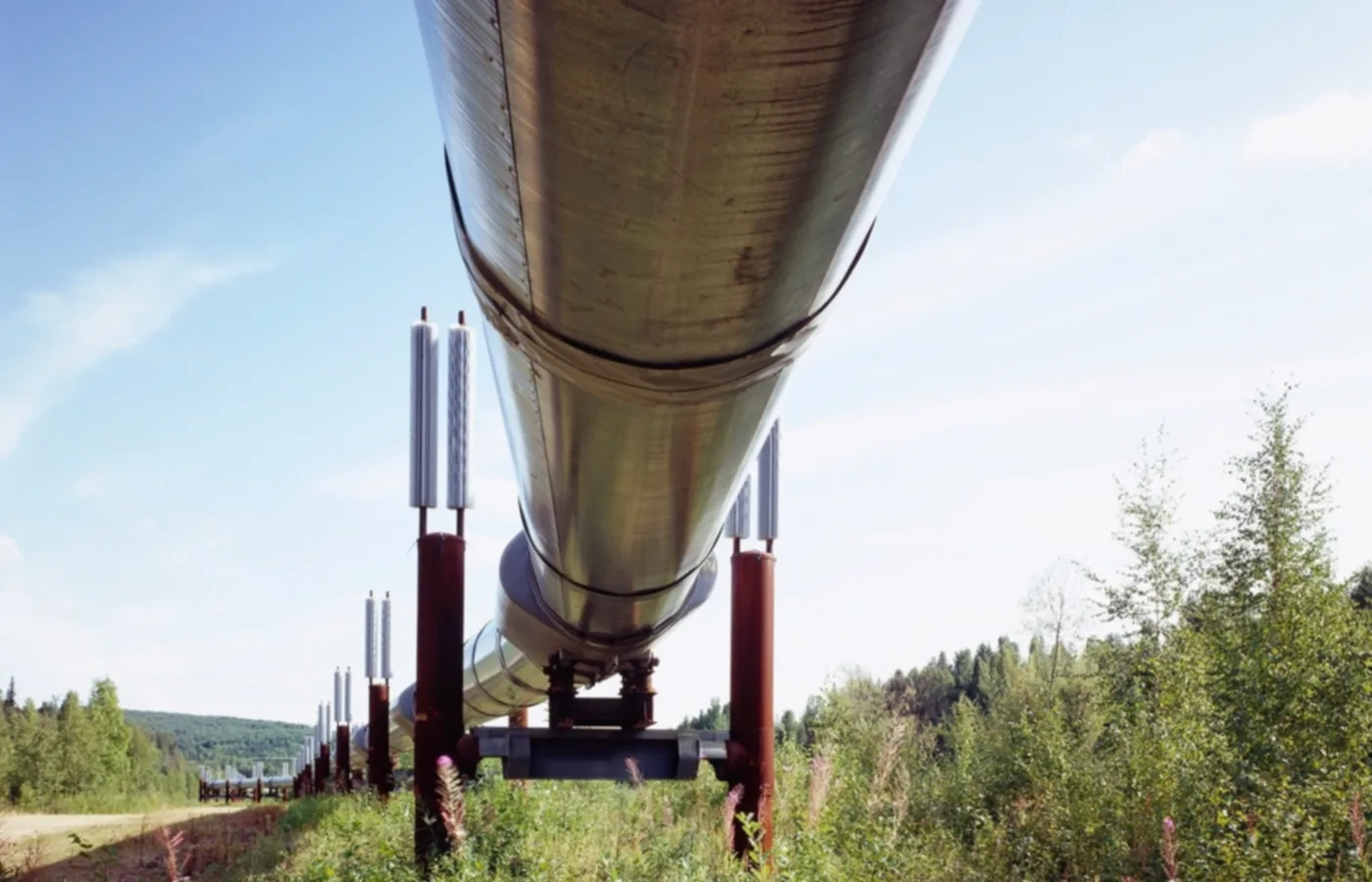 Hydrogen Still Needs Clear Demand, Not Just Supply Ambition